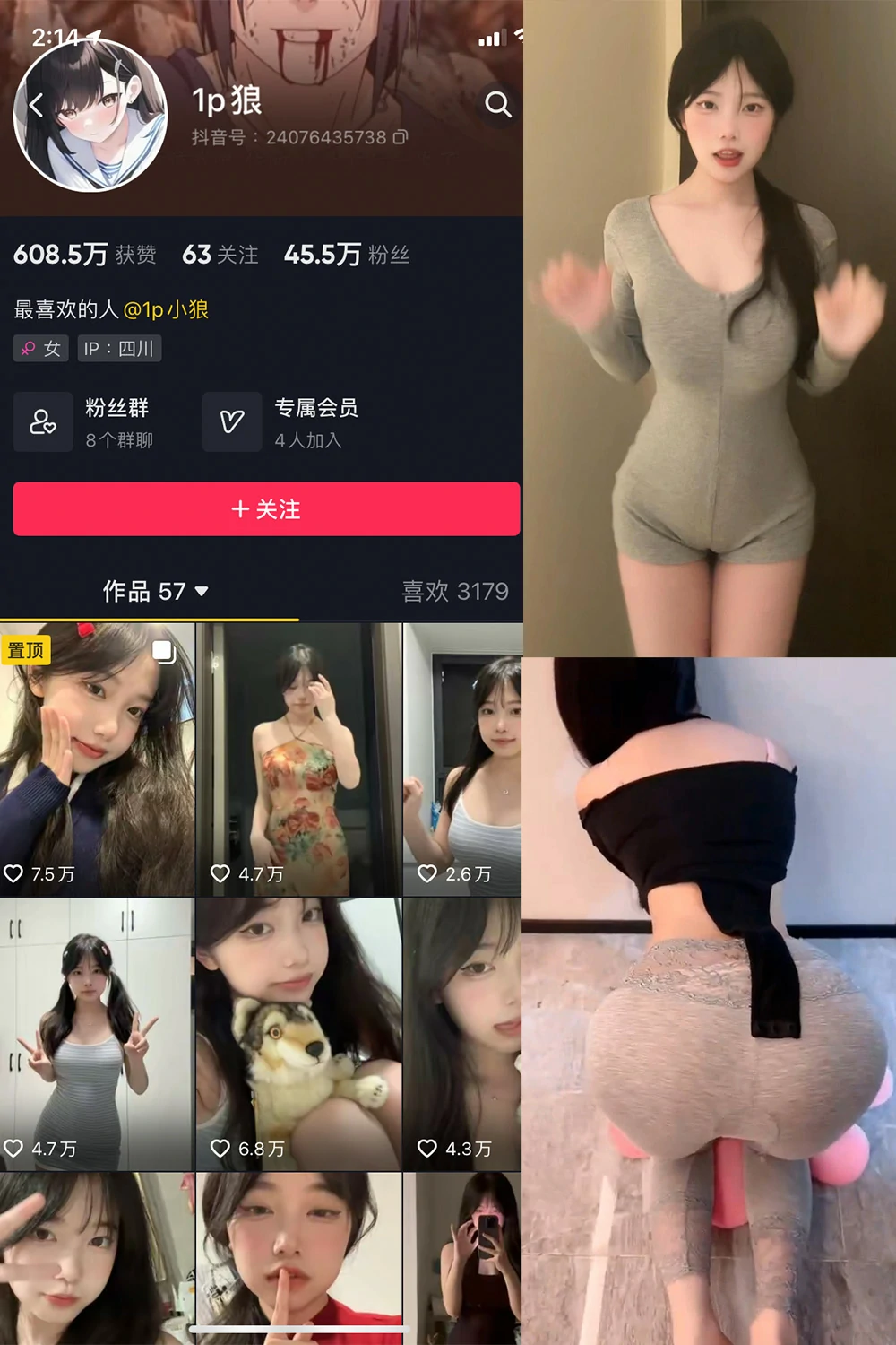 onlyfans 1p狼 国产 NO.008期 【17P15V】最新完整版合集